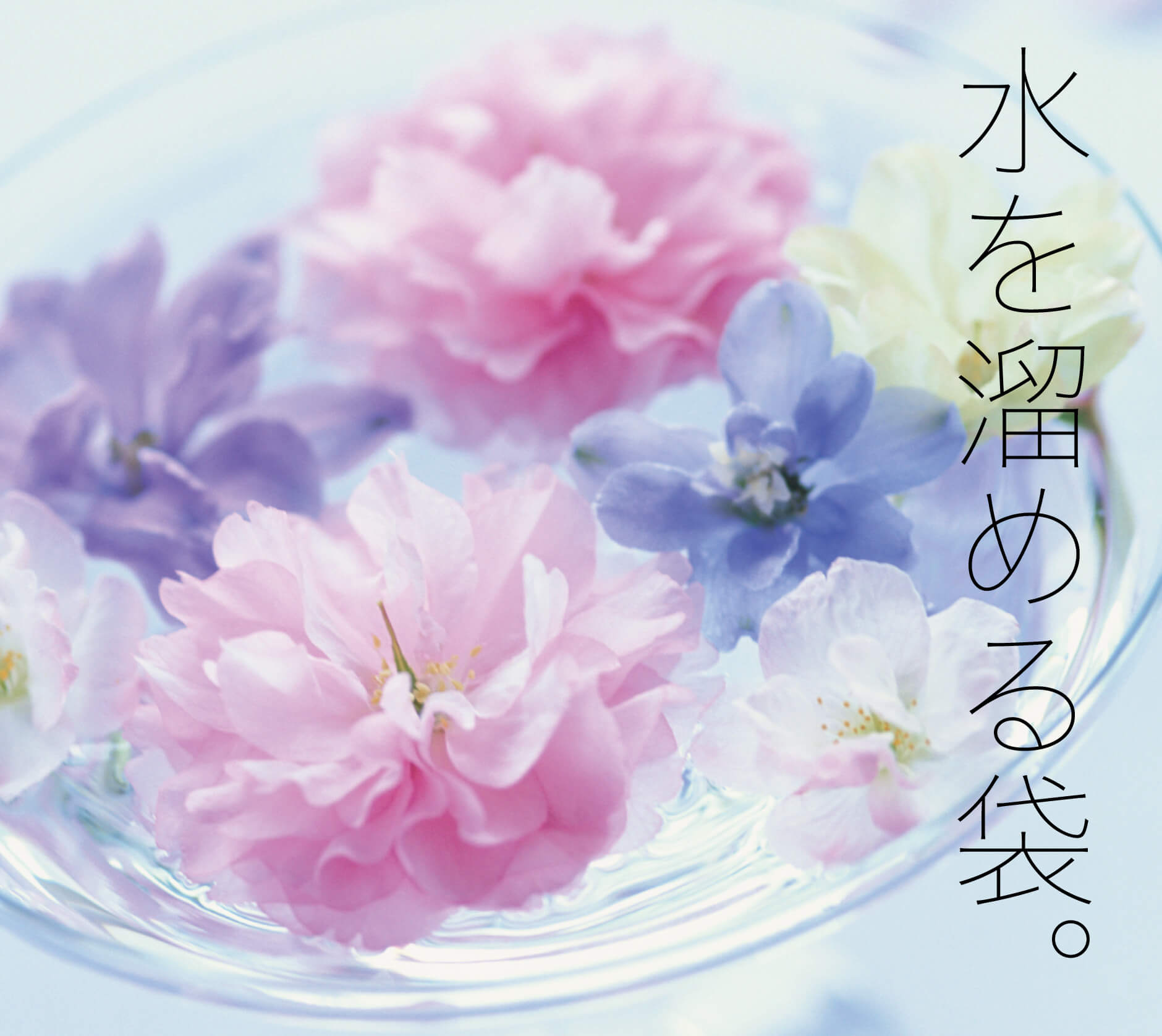 水を溜める袋